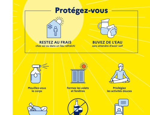 Information – Alerte canicule
