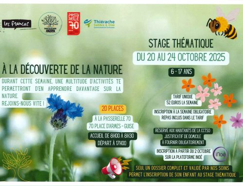 Francas de l’Aisne – Stage thématique : « à la découverte de la nature », du 20 au 24 octobre 2025