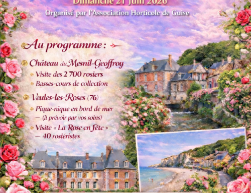 Association horticole – Voyage « La rose en fête », dimanche 21 juin 2026