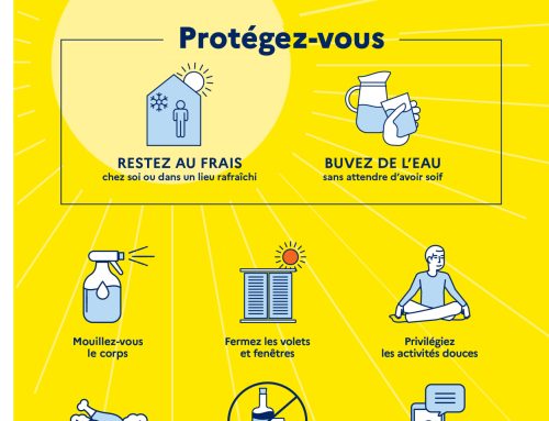 Information – Fortes chaleurs